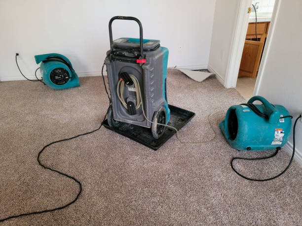 Best Water damage cleanup near me  in Highspire, PA