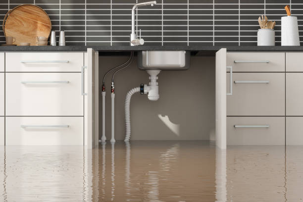 Best Local water damage restoration  in Highspire, PA