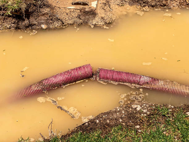 Water damage restoration mold remediation in Highspire, PA